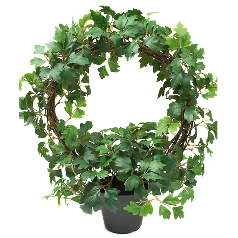 Mr Plant, Cissus Potteplante 45 cm