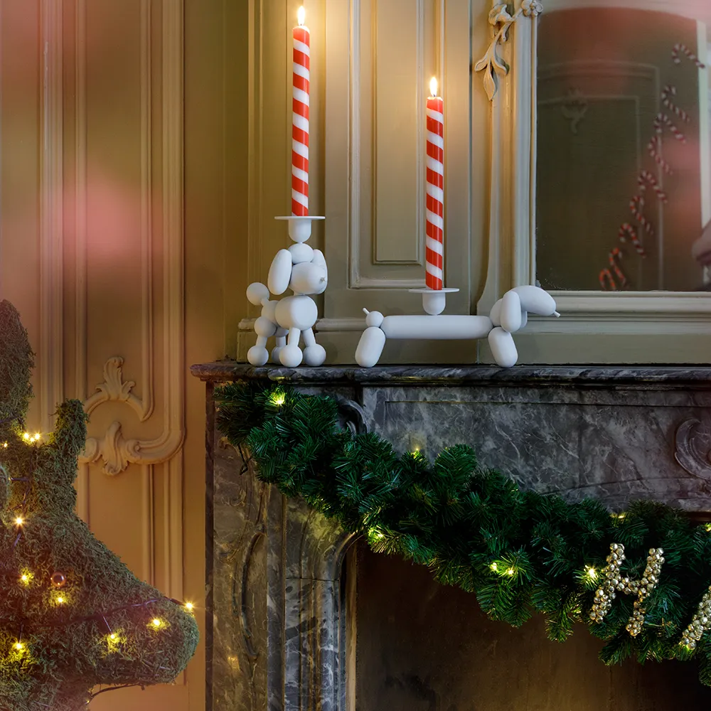 Can-dog lysestage anthracite 