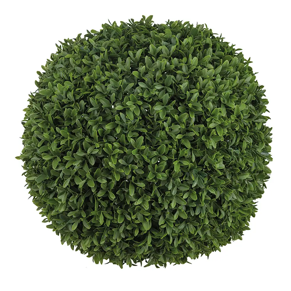 Mr Plant Buxbom Kugle Grøn 50 cm