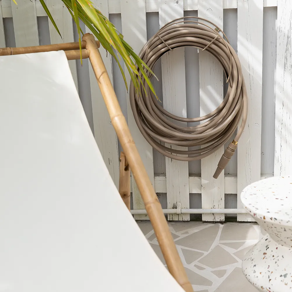 Slangeholder Sahara Desert