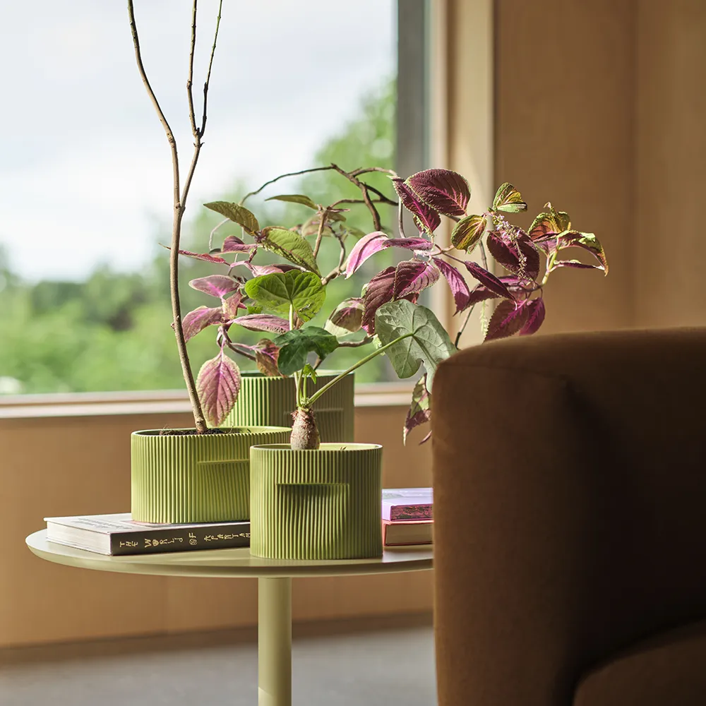 Ridge potte H: 13 cm - Mosgrøn