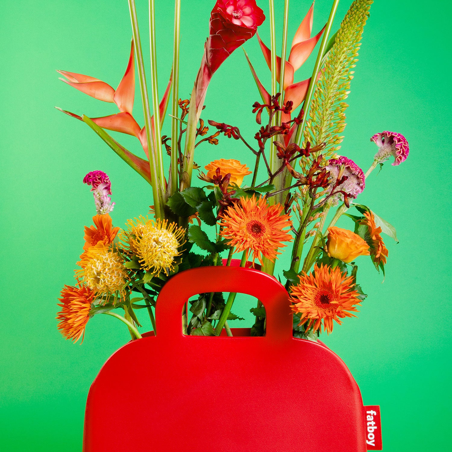 Sjopper-kees anthracite