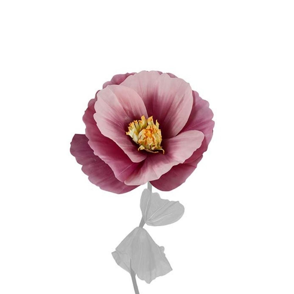 Mr Plant, Blomst Signe Purple