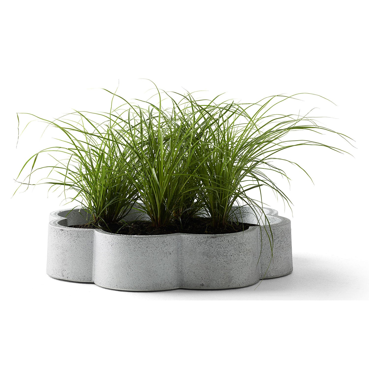 Forseglingscylinder, naturlig