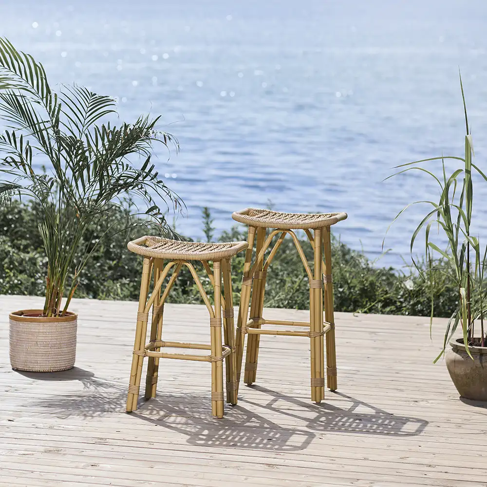 Salsa skammel nature