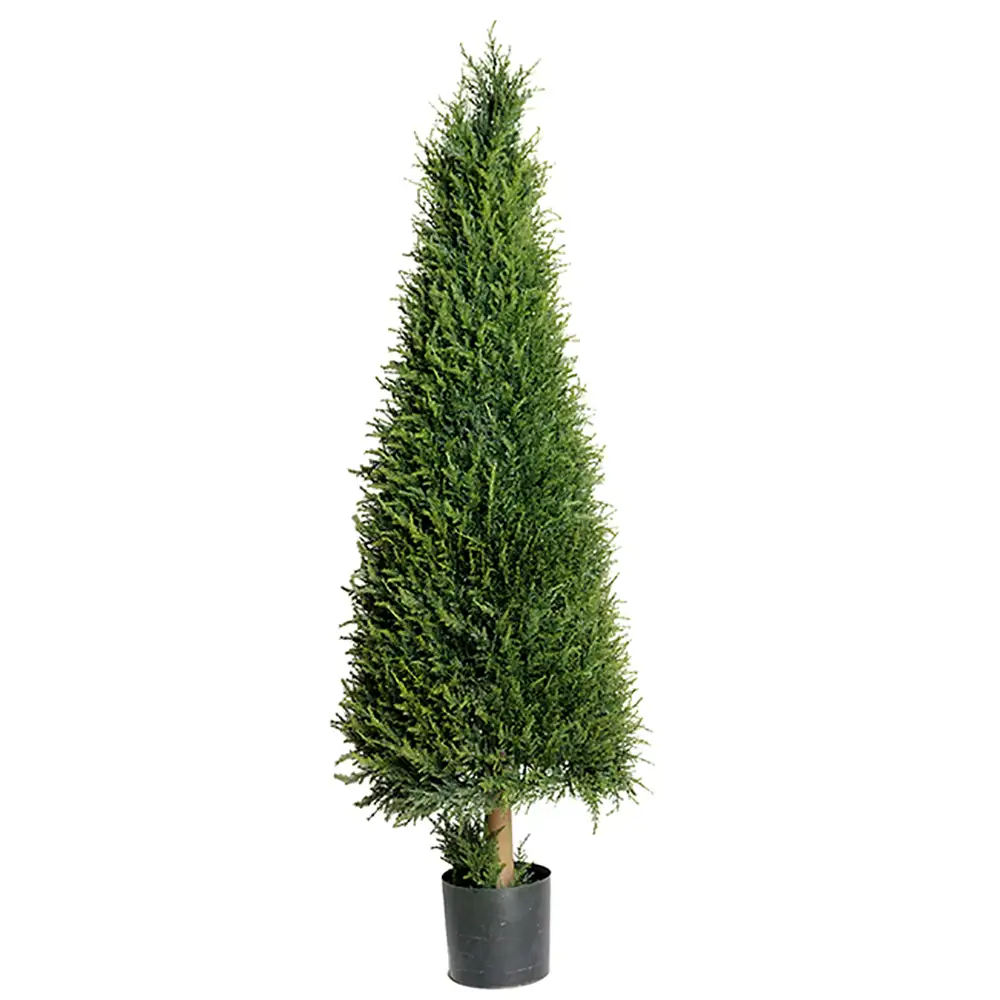 Mr Plant, Grantræ 140 cm