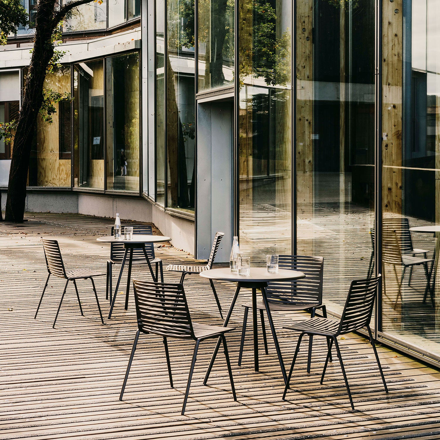 Zebra stol Powder Grey