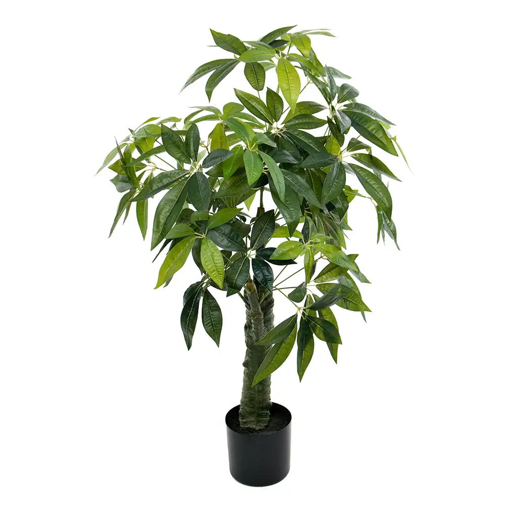 Mr Plant Pachira Træ 120 cm